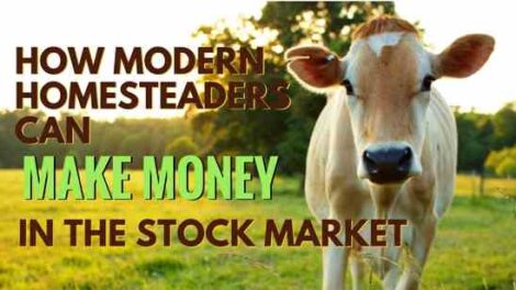 How Modern Homesteaders Can Make Money in the (Live)Stock Market Image